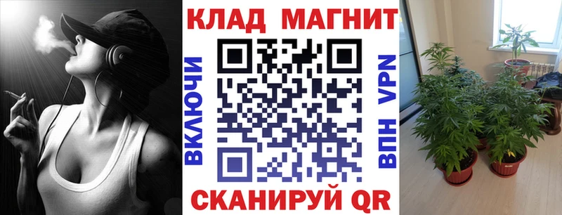 Галлюциногенные грибы Багратионовск