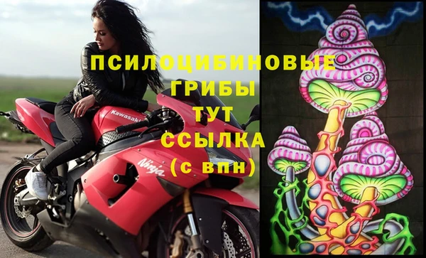 ECSTASY Аркадак