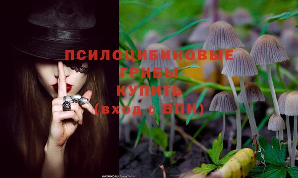 тгк Арсеньев