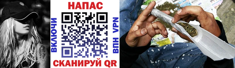 купить наркотик  Багратионовск  Каннабис Bruce Banner 